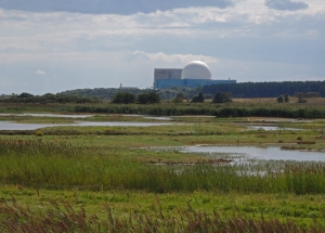 Looking over North Scrape towards Sizewell Power station