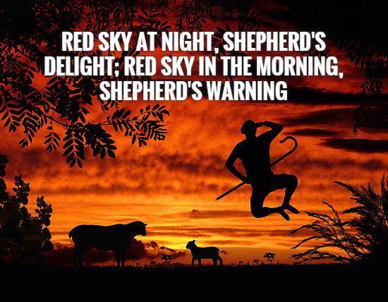 red-sky-at-night-shepherds-delight-red-sky-in-the-morning-shepherds-warning-quote-1.jpg